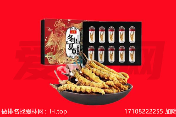 故城县回收虫草.jpg